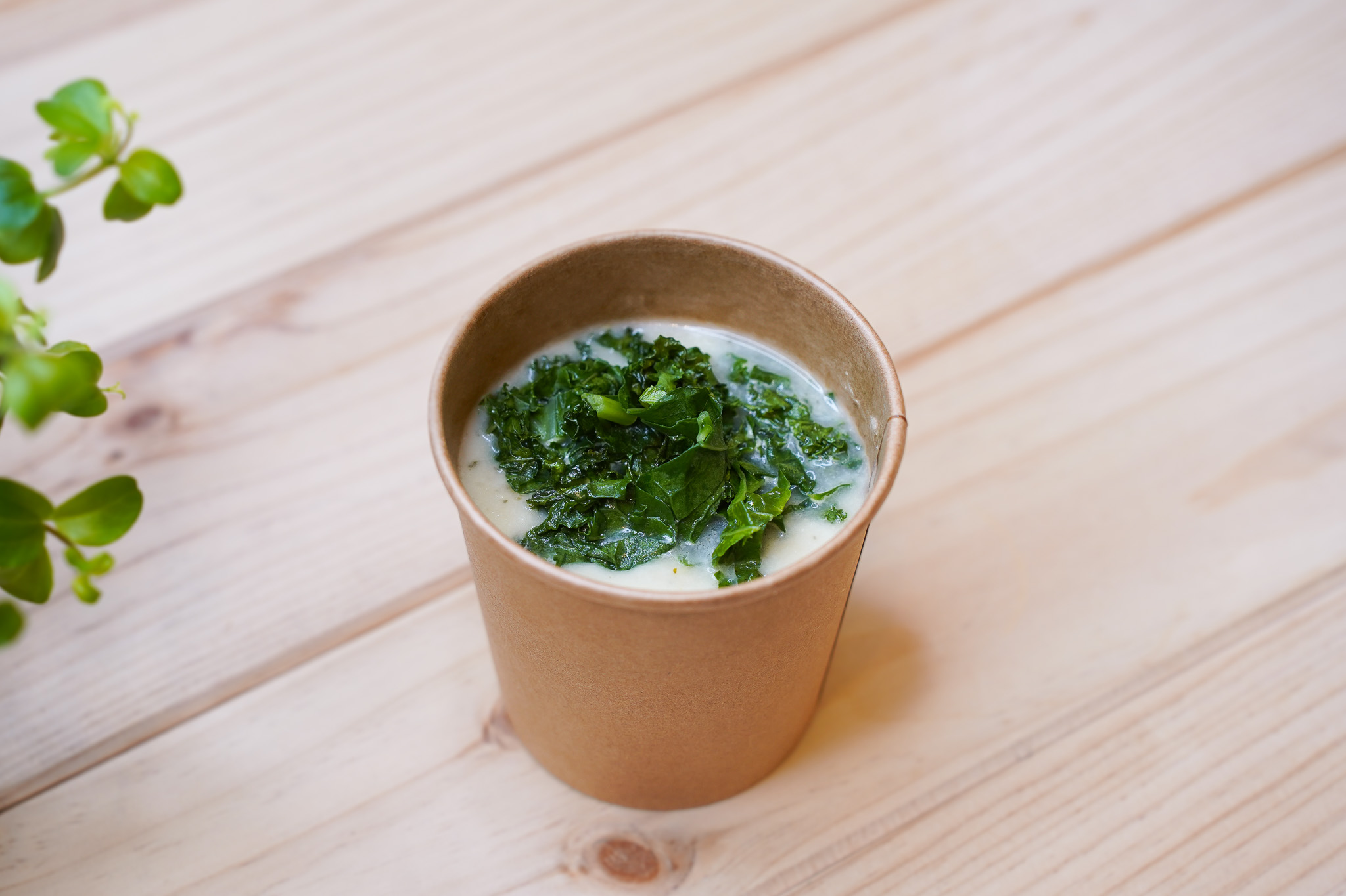 Creme de Couve Flor, Curgete e Kale